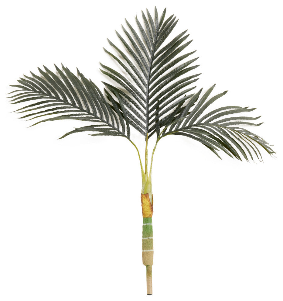 Primary product image on a pure white background; full palm visible with no pot; front-facing presentation.