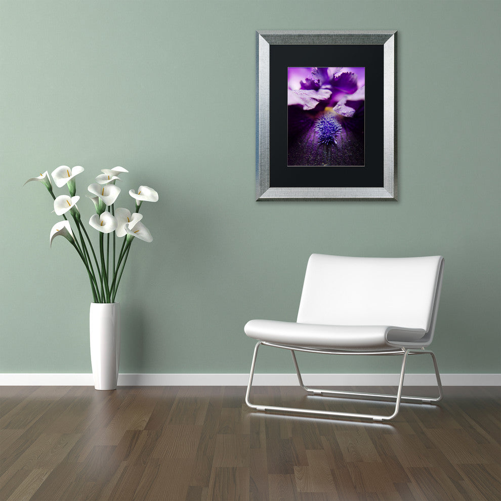 PIPA Fine Art ''Stigma of Iris'' Matted Framed Art, 20x16