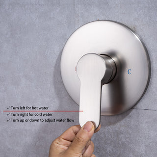 CASAINC 10" Wall Mounted Luxury Round Rainfall Shower System Set, Brushed Nickel