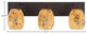Apollo 3-Light Bath Bar, Dark Granite/Gold Fusion