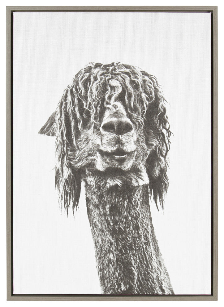 Sylvie Curly Hair Alpaca Animal Portrait Framed Canvas Wall Art, Gray