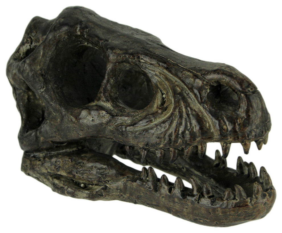 Velociraptor Dinosaur Head Fossil Statue Small