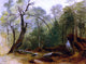Asher Brown Durand Study in The Woods Premium Canvas Print