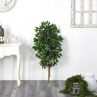 Lifestyle image: tree shown in a real room/environment with decor.