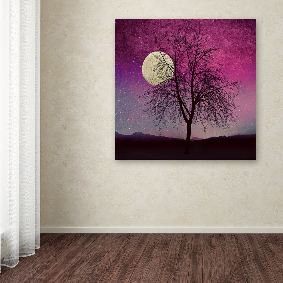 Tina Lavoie 'Pink Twilight' Canvas Art, 24" x 24"