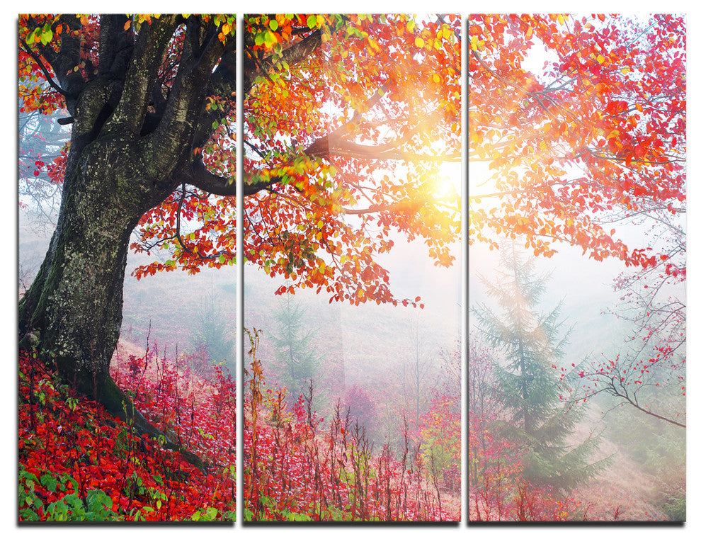 "Morning in Misty Red Forest" Photo Metal Wall Art, 3 Panels, 36"x28"