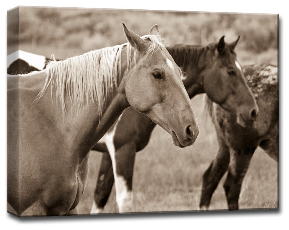 Ready2HangArt 'Horses' by Bartlettayes, 30"x40"