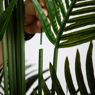 White background close-up of stem and leaf segment (cropped detail).