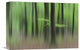 "Spring Morning" Stretched Canvas Giclee by Huib Limberg, 16"x11"