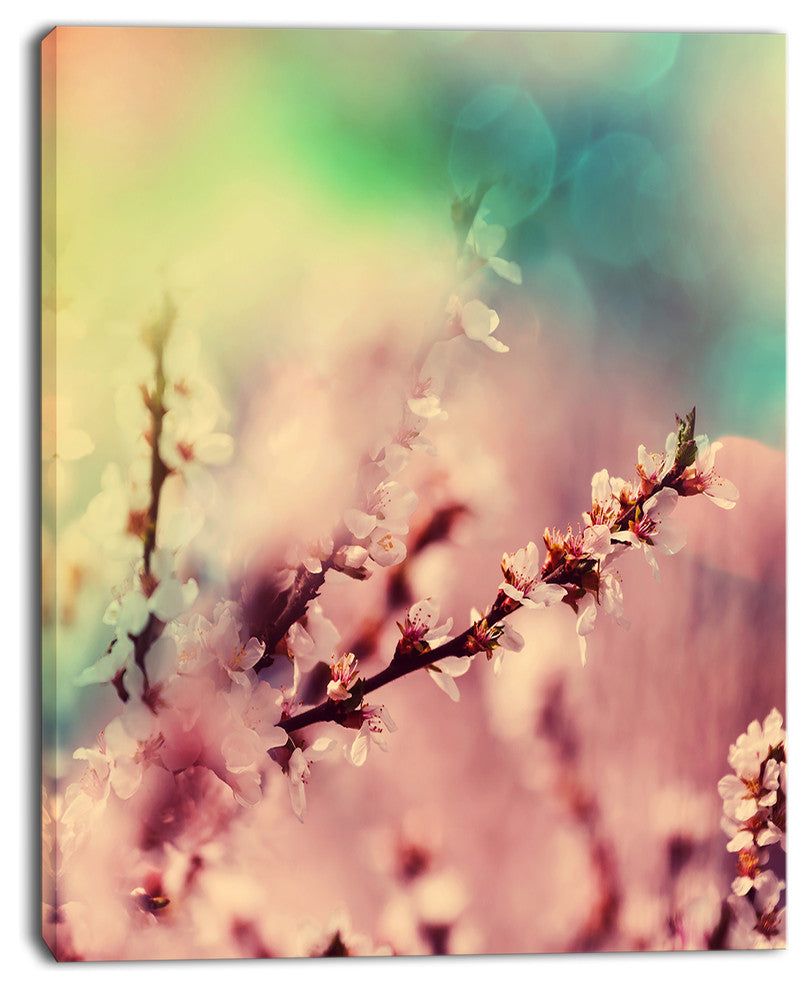 Blossoming Pink Cherry Branches, Floral Art Canvas Print, 30"x40"