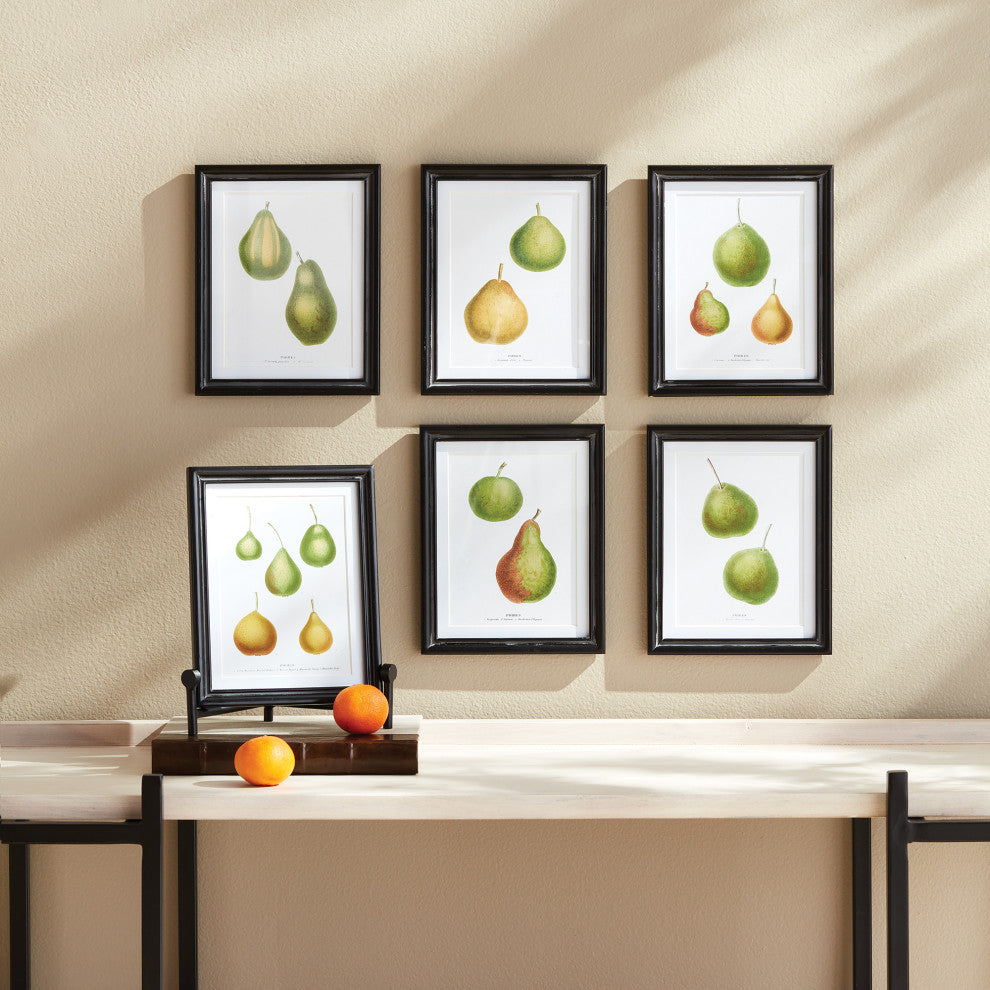 Pear Study, Set of 6