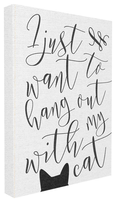 Stupell Industries I Just Want to Hang Out With My Cat, 16 x 20