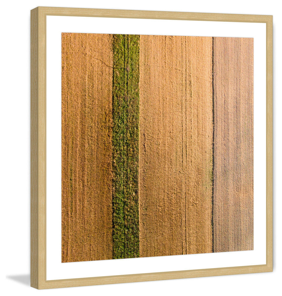 "Seeded Land" Framed Print by Karolis Janulis