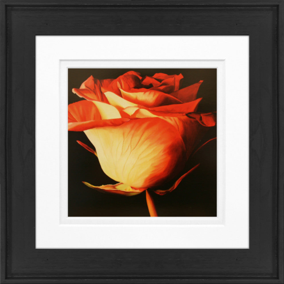 8"x8" Rose 1 Matted Framed Art