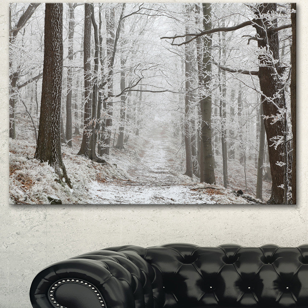 Forest Trail on Winter Morning, Large Forest Canvas Art Print, 40"x30"