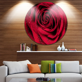 Red Rose Petals With Rain Droplets, Floral Disc Metal Wall Art, 11"