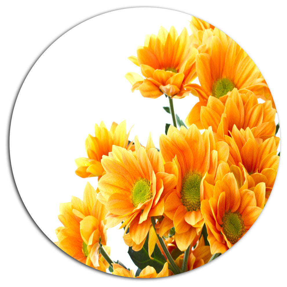 Orange Flowers Chrysanthemum, Modern Flower Round Metal Wall Art, 36"