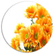 Orange Flowers Chrysanthemum, Modern Flower Round Metal Wall Art, 36"