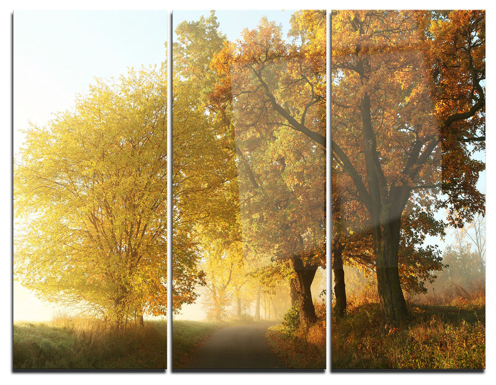 "Rural Road Under Green Trees" Photo Metal Wall Art, 3 Panels, 36"x28"