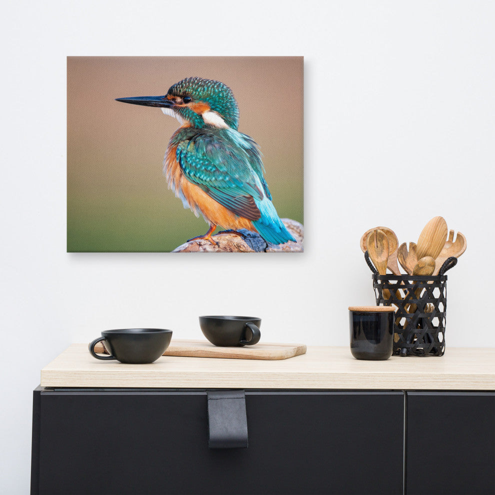Common Kingfisher Bird on Perch Animal Wildlife Photograph Canvas Wall Art Print, 16" X 20"