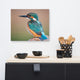 Common Kingfisher Bird on Perch Animal Wildlife Photograph Canvas Wall Art Print, 16" X 20"