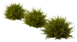 Three cedar ball clusters on white background; full view