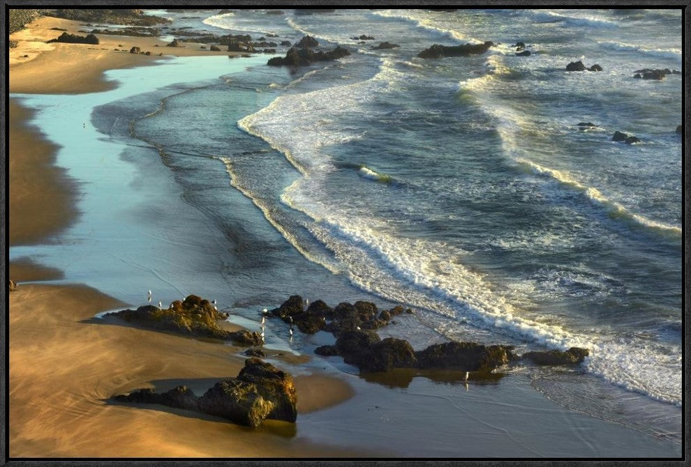 "Incoming waves at Bandon Beach, Oregon"  by Tim Fitzharris, 31x21"