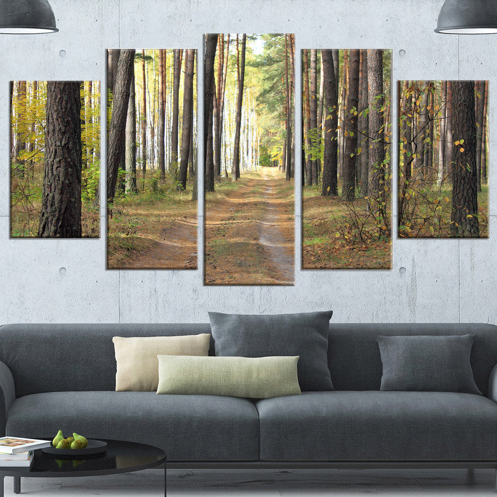 Pathway in Autumn Pine Forest, Modern Forest Canvas Art, 60"x32", 5 Panels