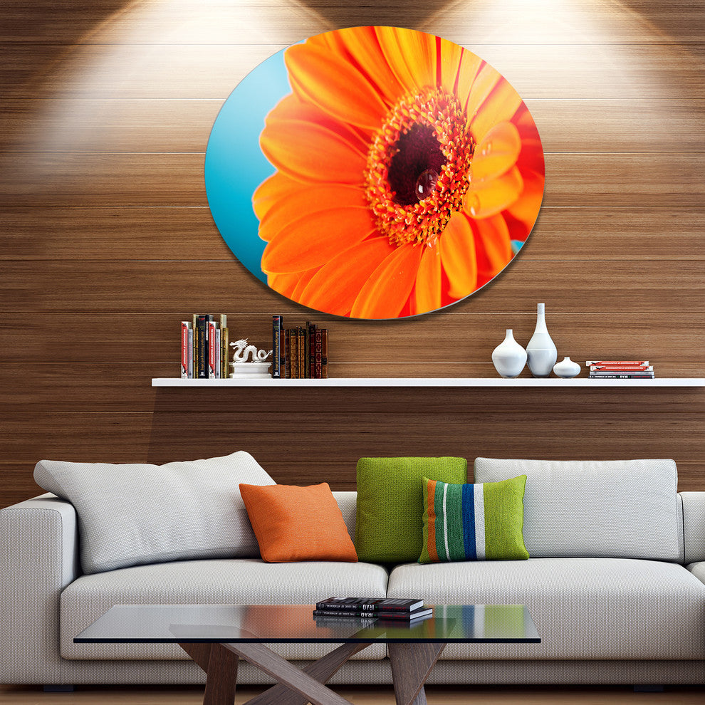 Orange Daisy Gerbera Flower Close-Up, Flowers Round Wall Art, 23"