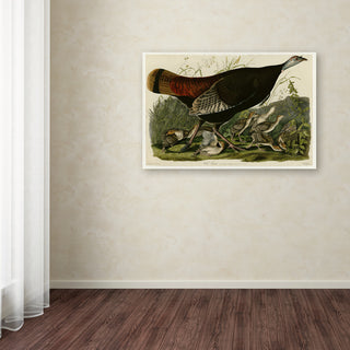 Audubon 'Wild Turkeyplate 6' Canvas Art, 32 x 22