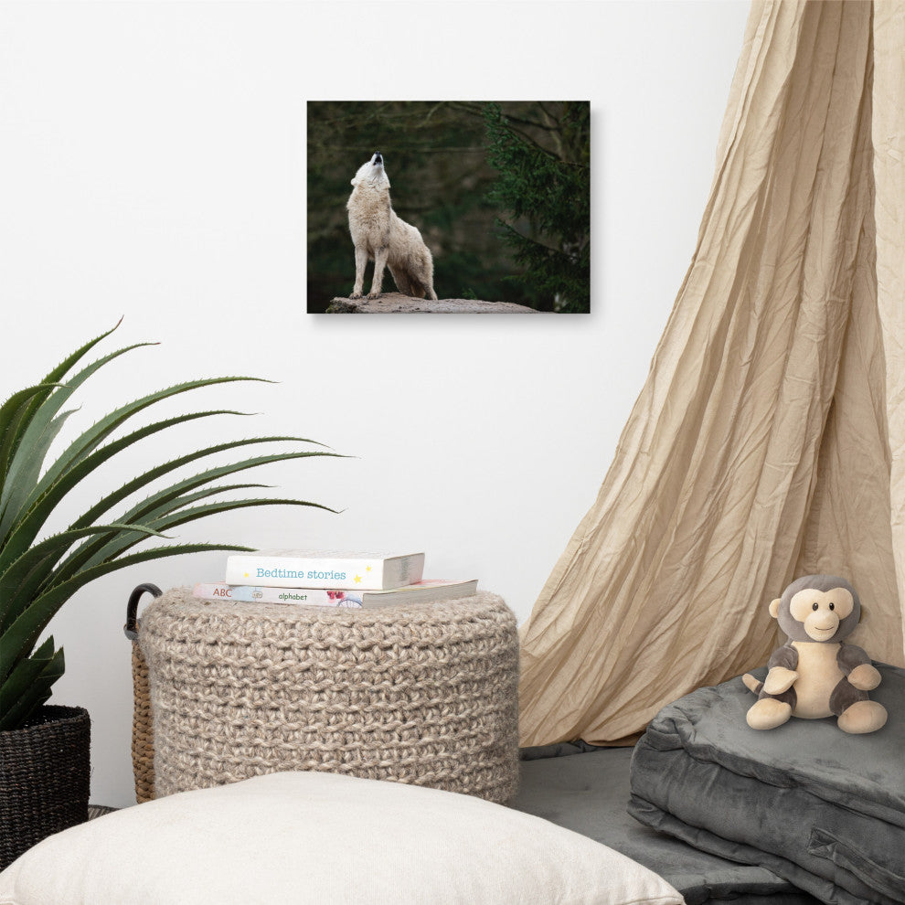 Howling White Wolf In The Forest Wildlife Photograph Canvas Wall Art Print, 12" X 16"