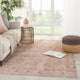 Machine Washable Jaipur Living Marquesa Trellis Light Pink/Blue Area Rug, 6'x9'