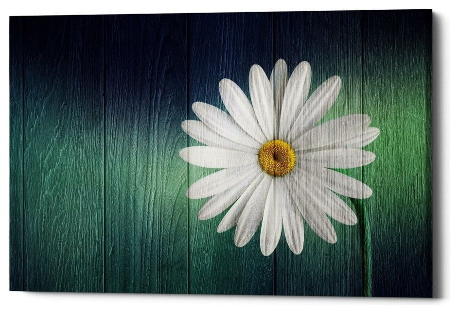 Epic Graffiti "Wood Series: A Daisy" Giclee Canvas Wall Art, 26"x40"