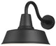 Barn Light Large 1-Light Outdoor Wall Lantern, Black