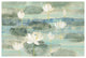 "Water Lilies Bright" Digital Paper Print by Albena Hristova, 38"x26"