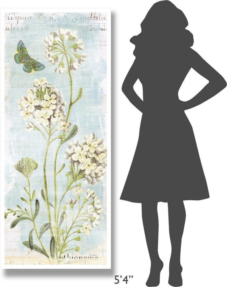 "Botany Blue II" Digital Paper Print by Sue Schlabach, 26"x62"