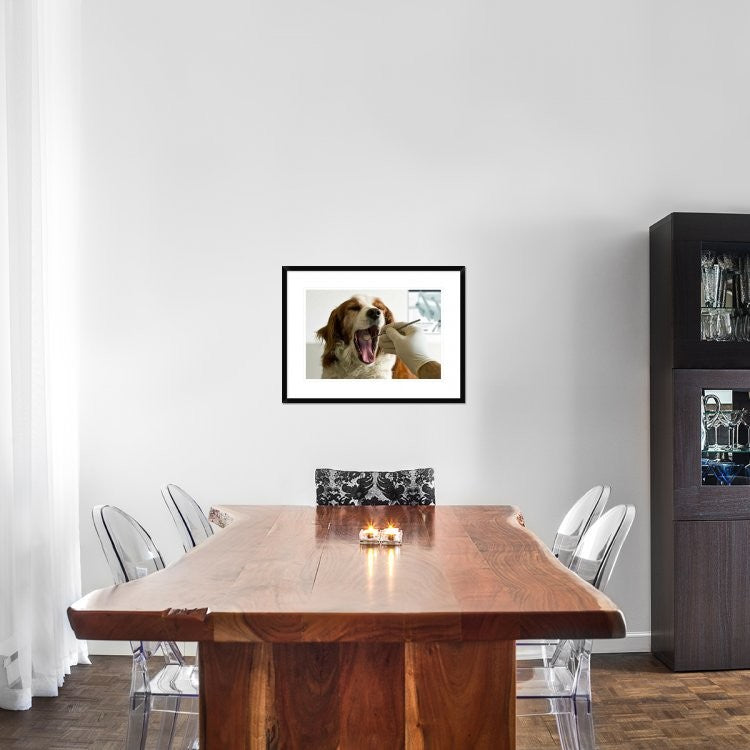 "Modern Times" Framed Digital Print by Mister Solo, 30x22"