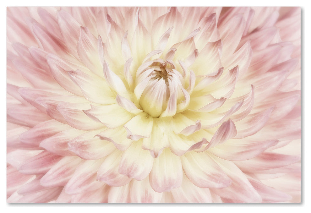 Cora Niele ''Dahlia Flower'' Canvas Art