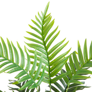 White-background product image showing the full plant and pot; alternate white full variant.