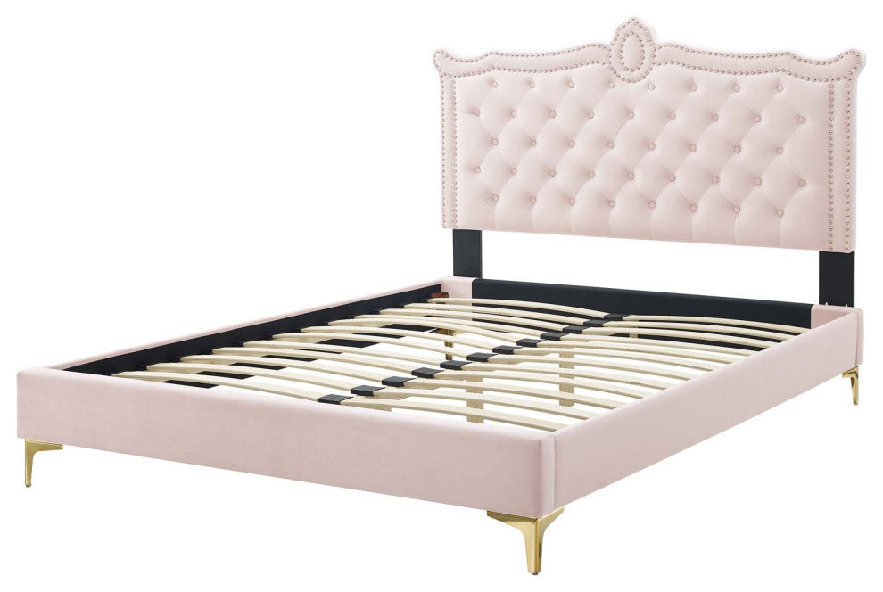 Platform Bed Frame, Nailhead, Queen Size, Pink, Velvet, Modern, Guest Suite