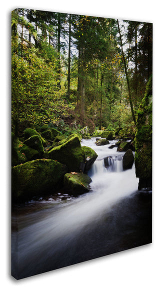 'Waterfall in the Forest' Canvas Art by Philippe Sainte-Laudy