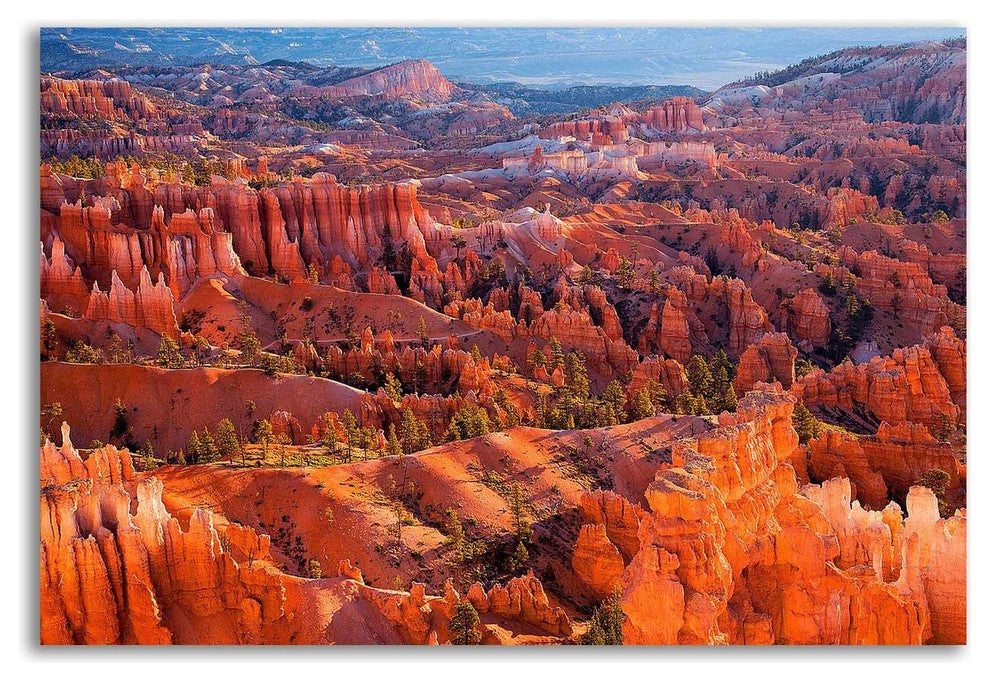 Morning Light by John Gavrilis, Print on Canvas, Ready to Hang