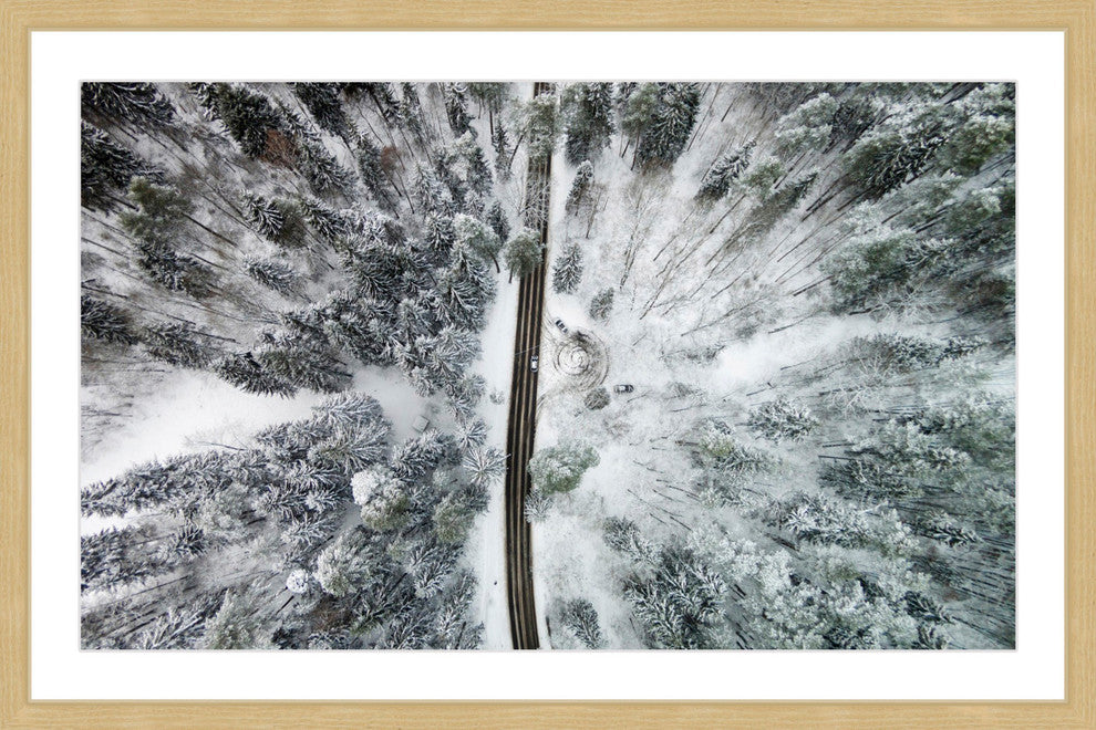 "Amid The Cold" Framed Print by Karolis Janulis