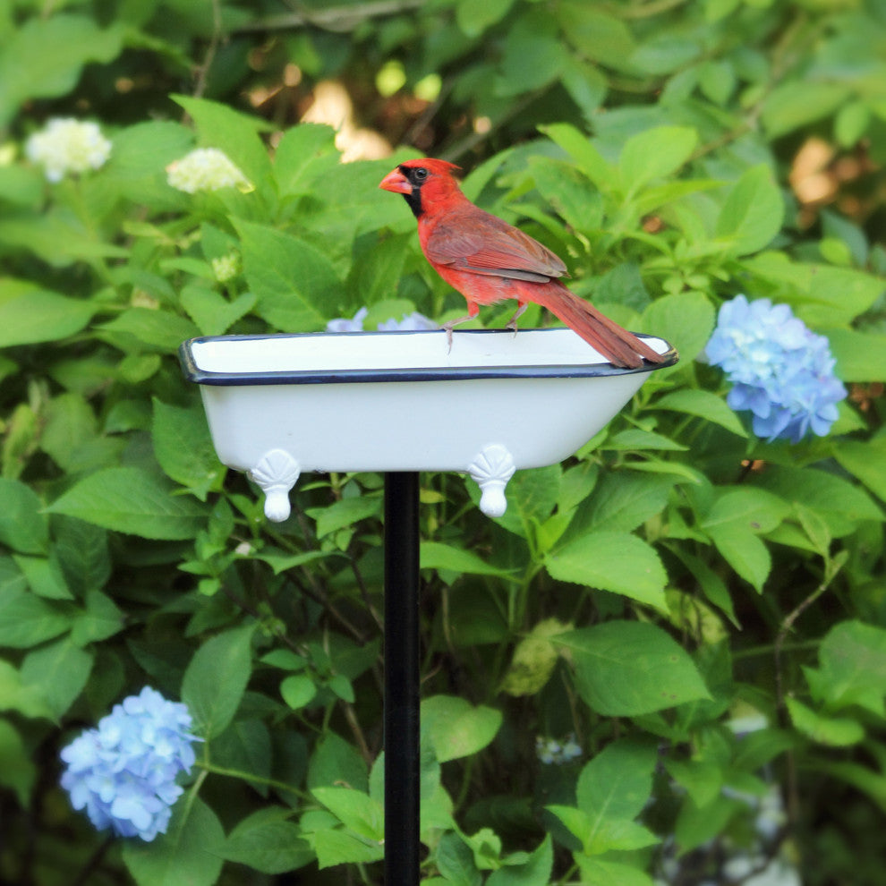 Splish-Splash Bird Bath Brass With White Finish by Good Directions