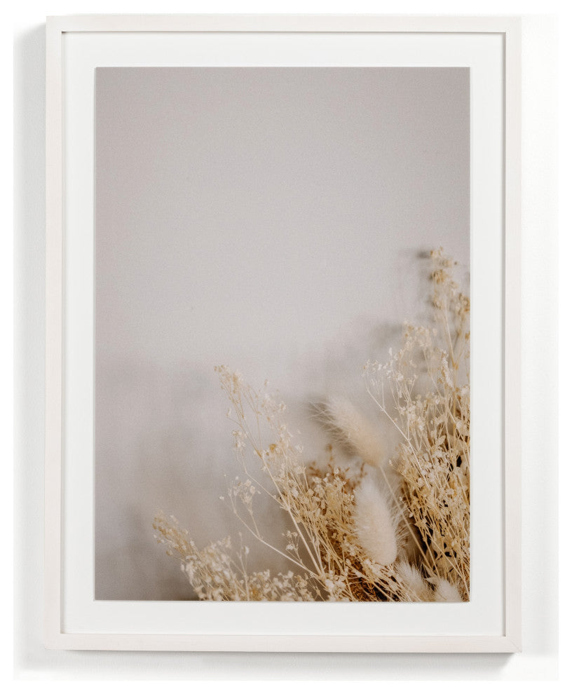 Dried Floral I By Annie Spratt