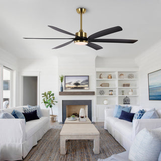 64" Reversible DC Motor Dimmable Ceiling Fan with Remote Control and Light Kit, Black/Gold