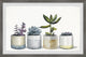 "Dessert Plants" Framed Painting Print