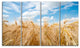 Barley Field under Blue Sky, Landscape Canvas Art Print, 48"x28", 4 Panels