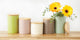 Antique White Matte Retro Vine Texture Ceramic Canister (Set of 3)