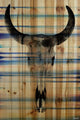 "Striped Skull" Print on Natural Pine Wood, 24"x36"